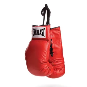 Autograph Boxing Gloves - Not for Use