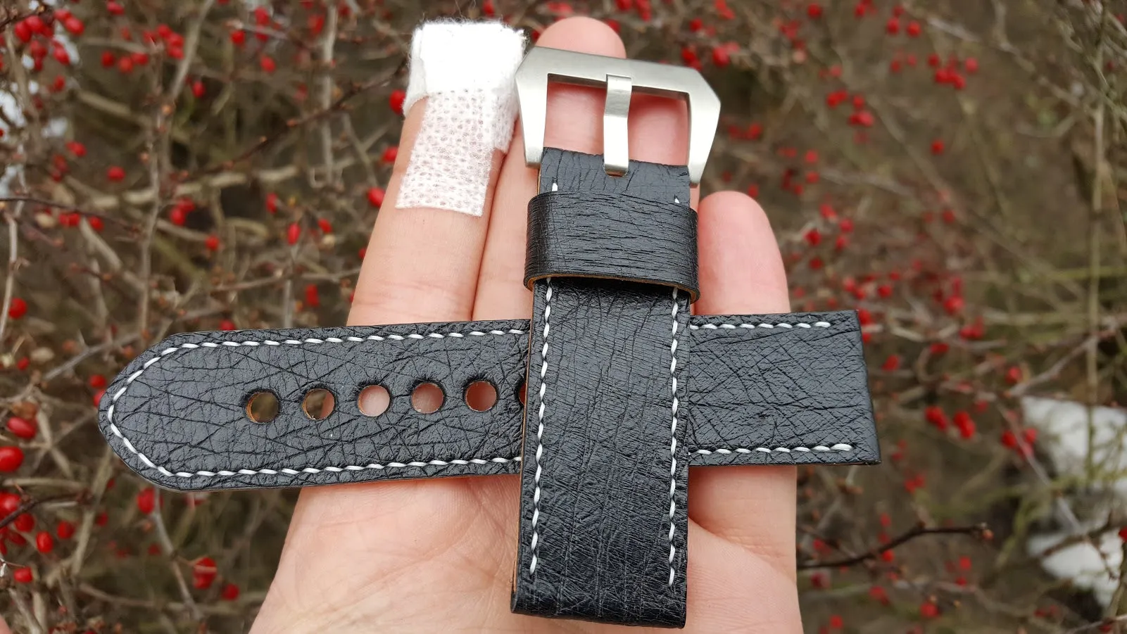 Black Ostrich 24 mm