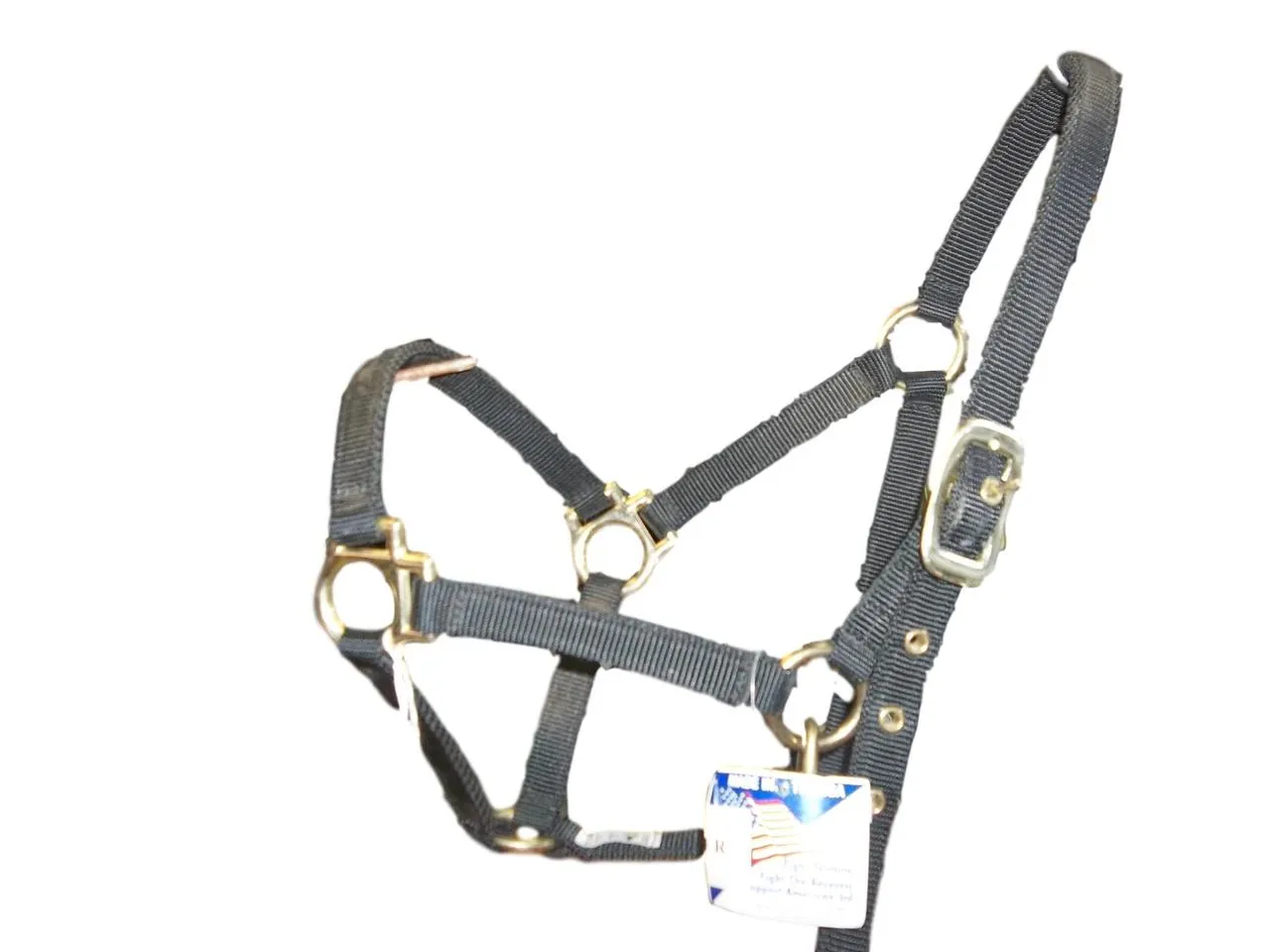 Black Pony Halter