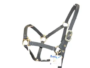 Black Pony Halter