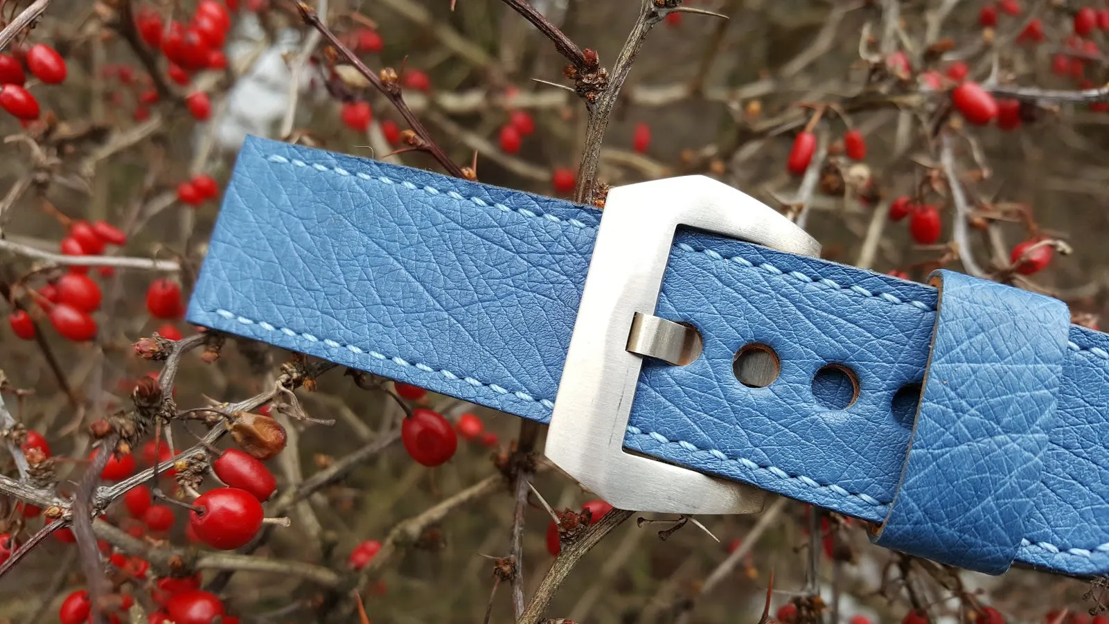 Blue Ostrich 24 mm
