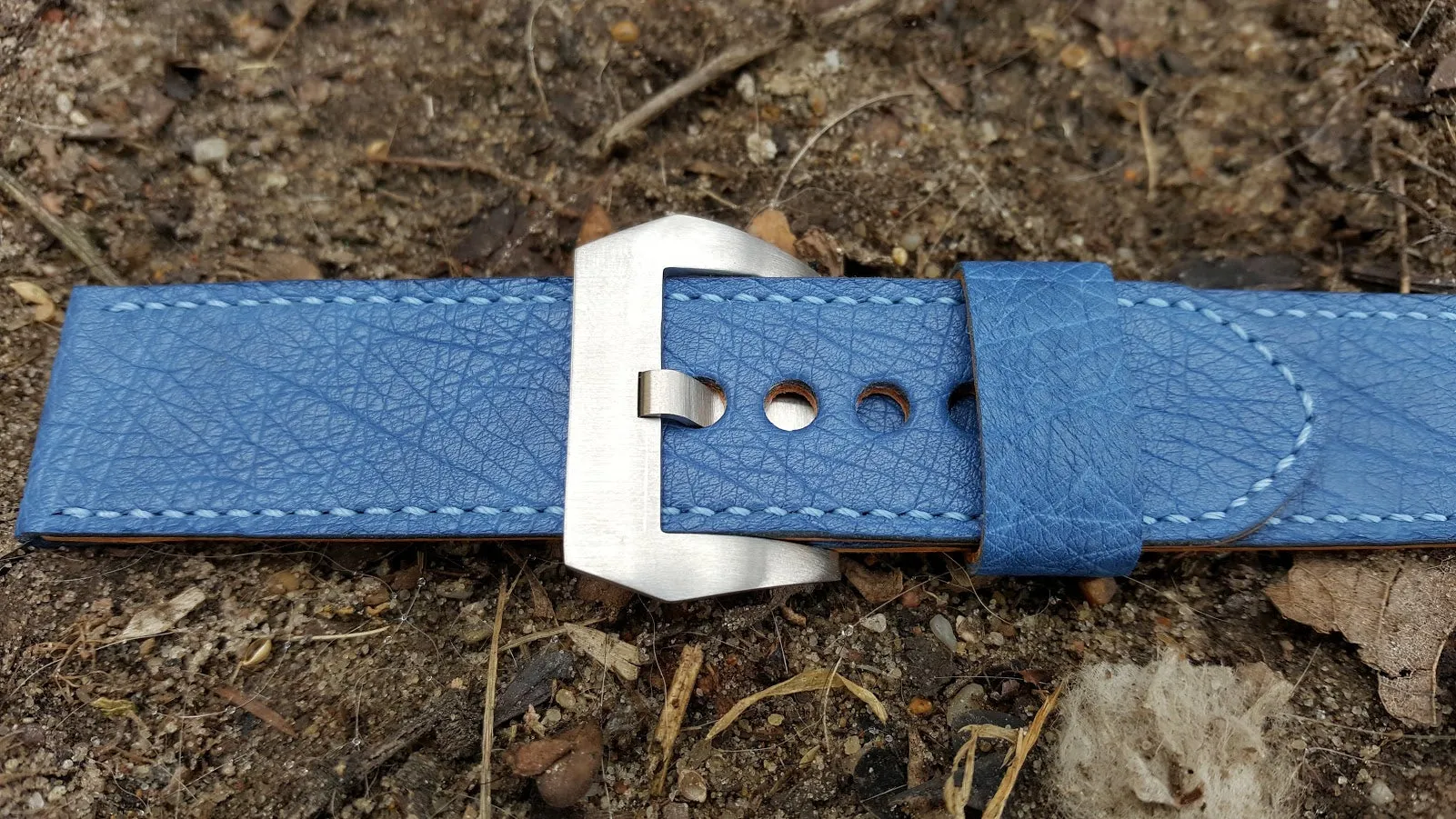 Blue Ostrich 24 mm