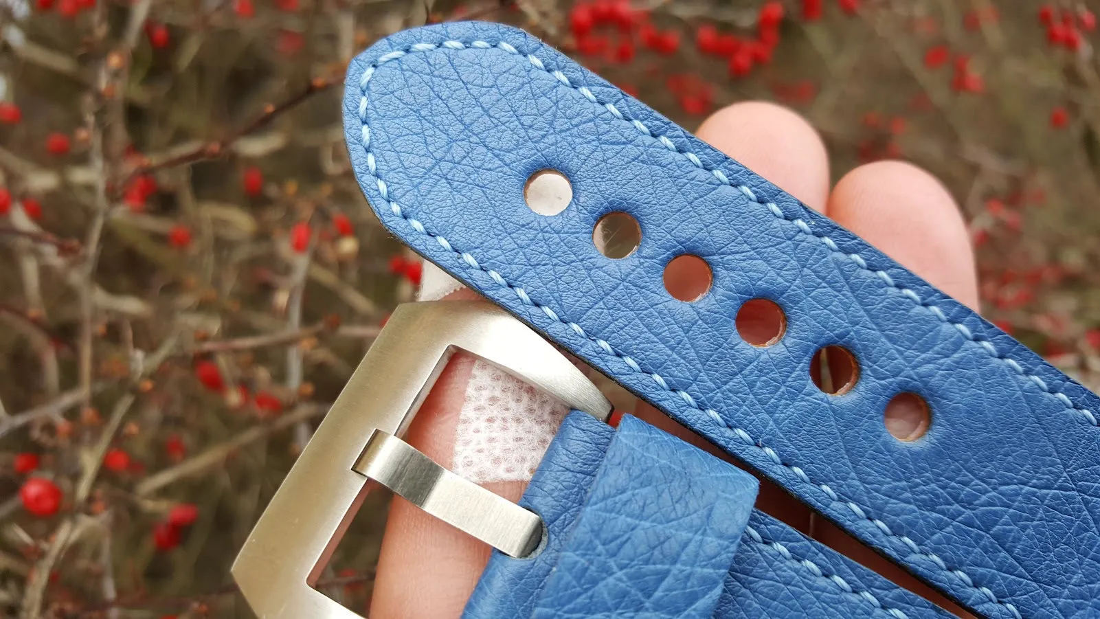 Blue Ostrich 24 mm
