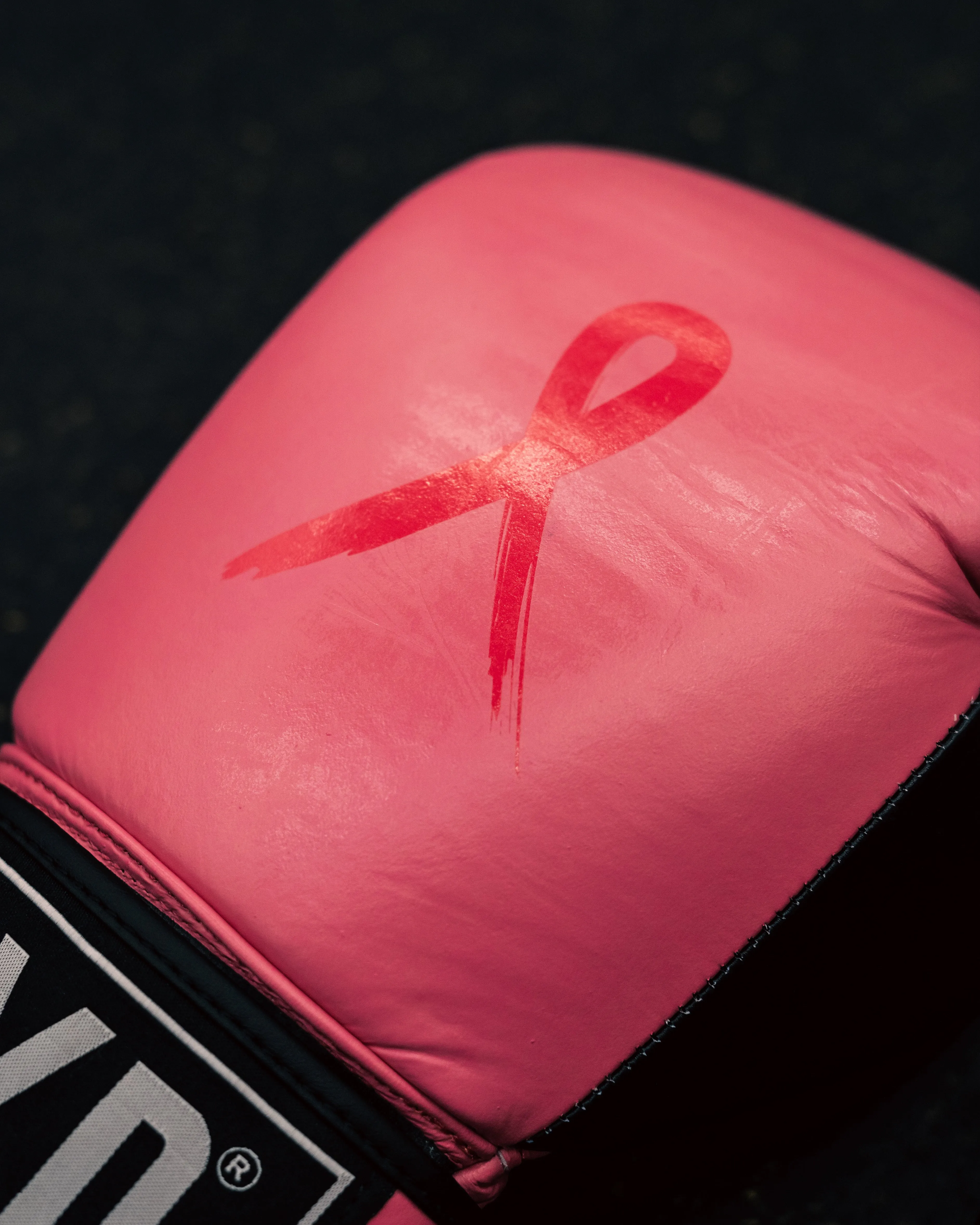Breast Cancer Awareness Boxing Gloves