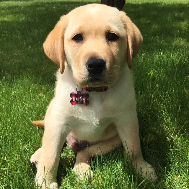 Camo Floral Pet ID Tag