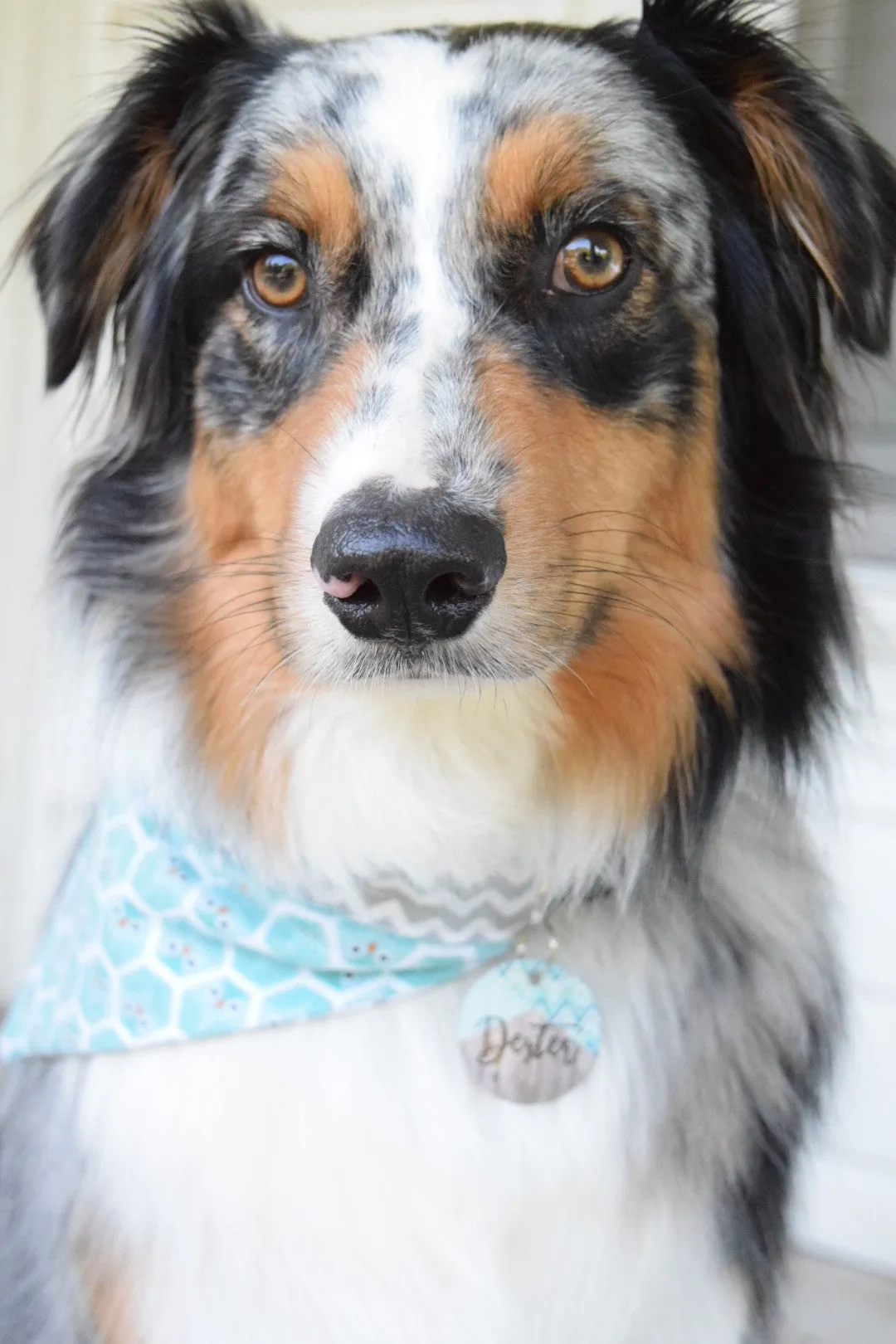Camo Floral Pet ID Tag