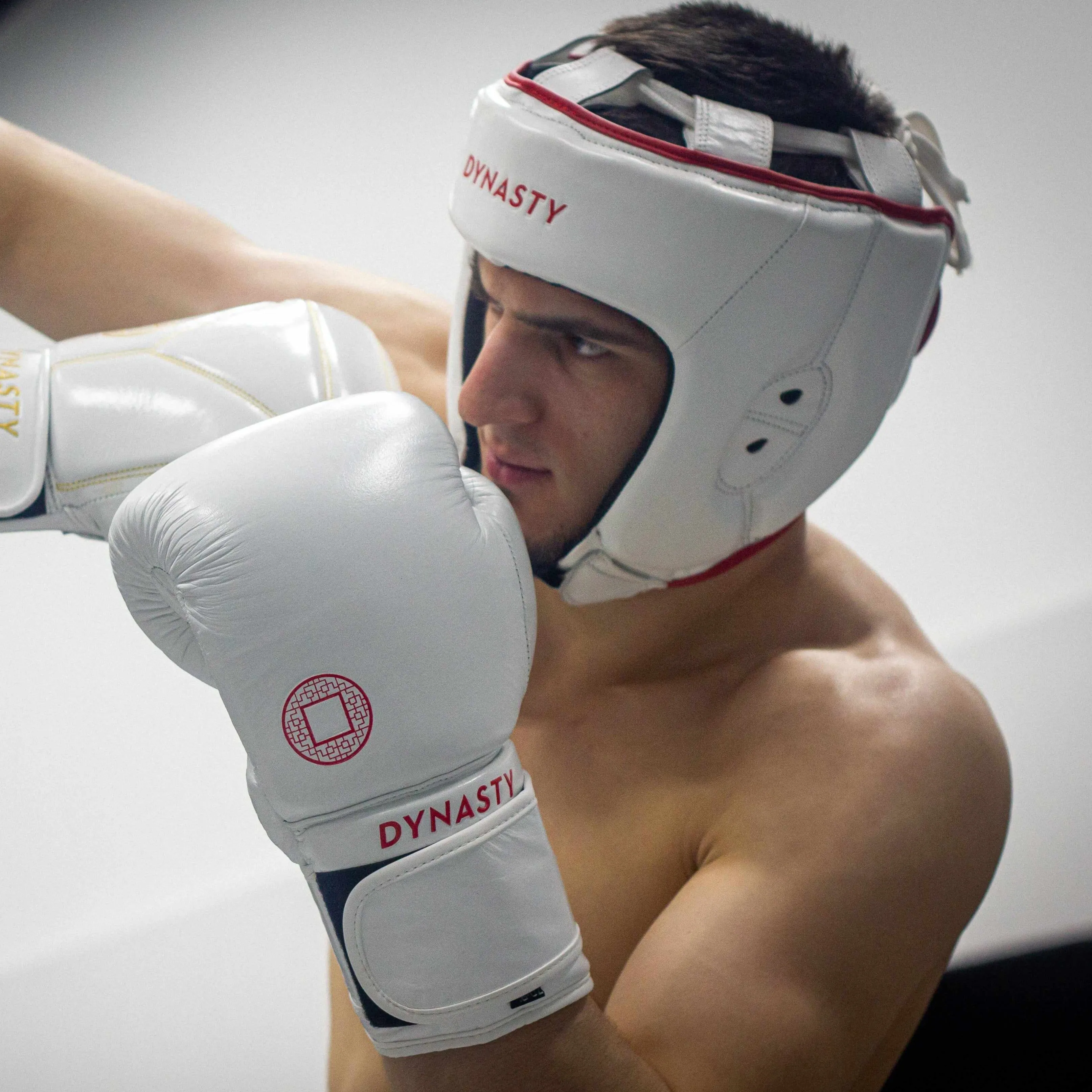 Dynasty Amateur Boxing / Kickboxing Headgear