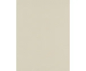 Embossed Textured Plain Beige 5903-02 Wallpaper