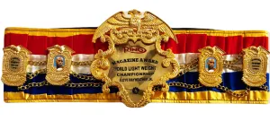 Floyd Mayweather Jr. Ring Magazine Championship Boxing Belt