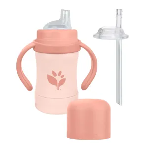 Green Sprouts Sprout Ware® Sip & Straw Transition Sippy Cup (6 oz.) - Grapefruit 6M 