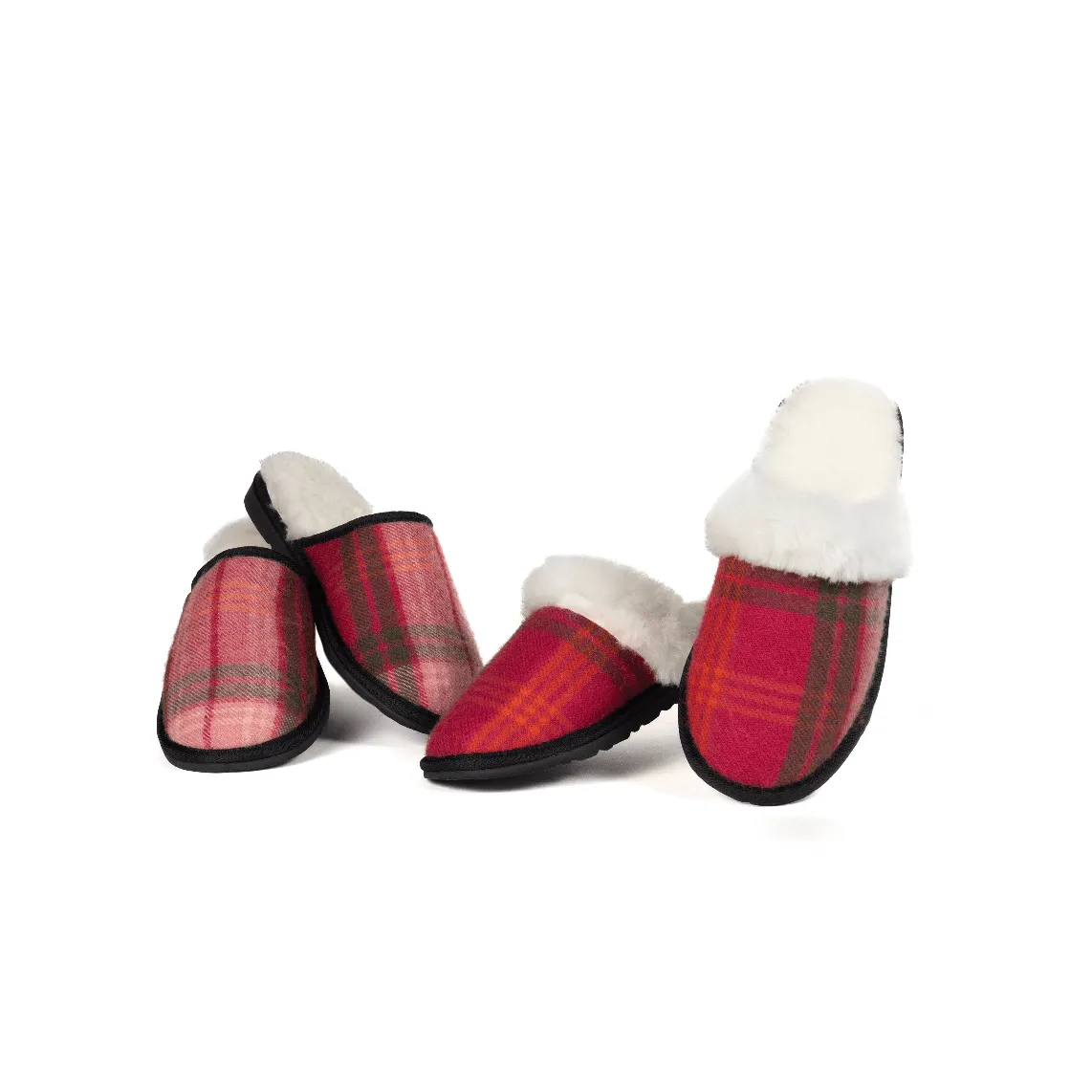 Hunting Rose Tartan Moodle