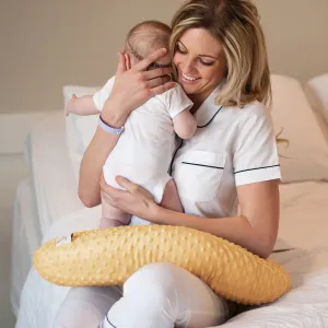 Minky Nursing Pillows