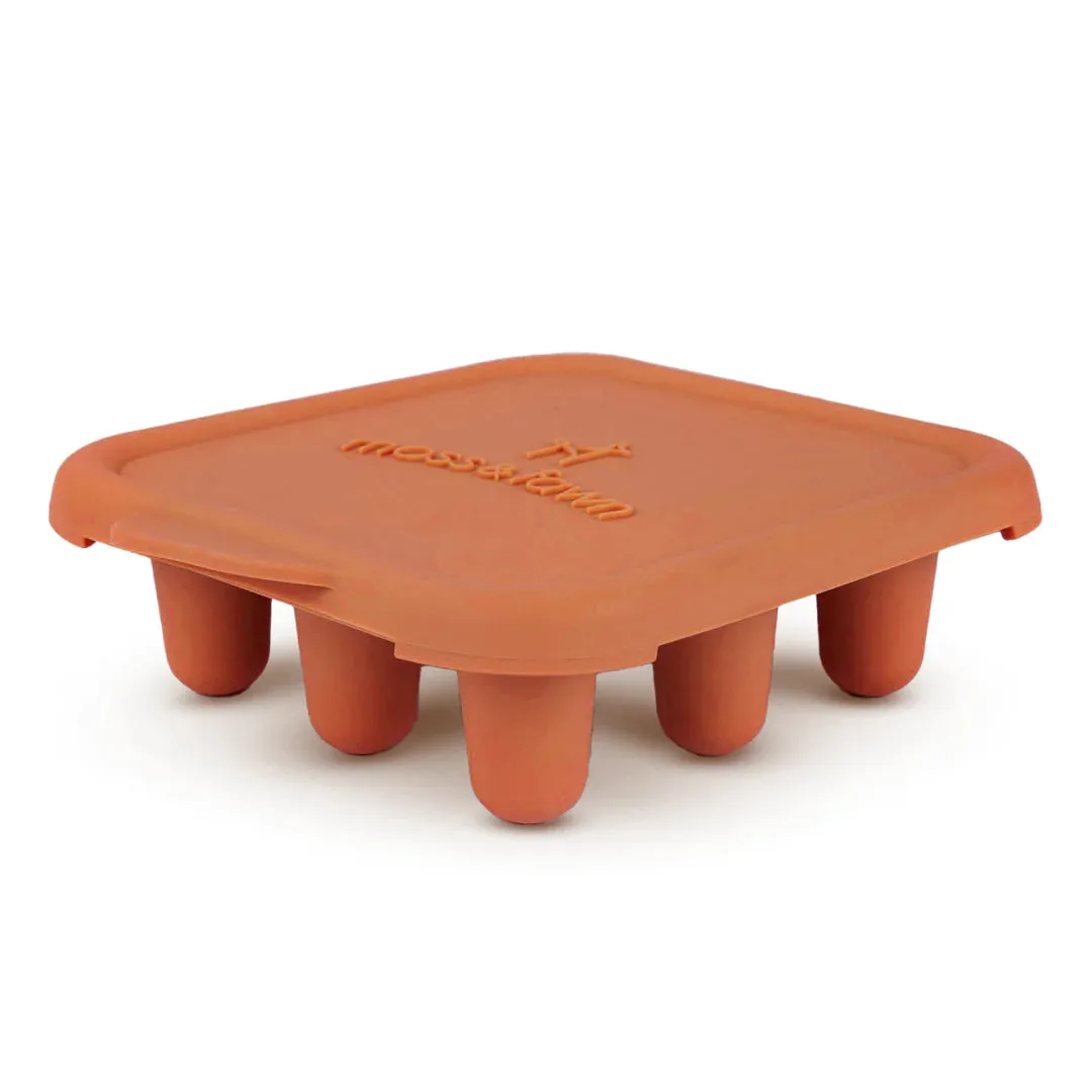 Moss & Fawn Ice Cube Tray - Terracotta Orange