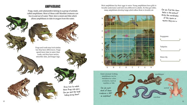 Museum of Mavels | Animal Activity Book