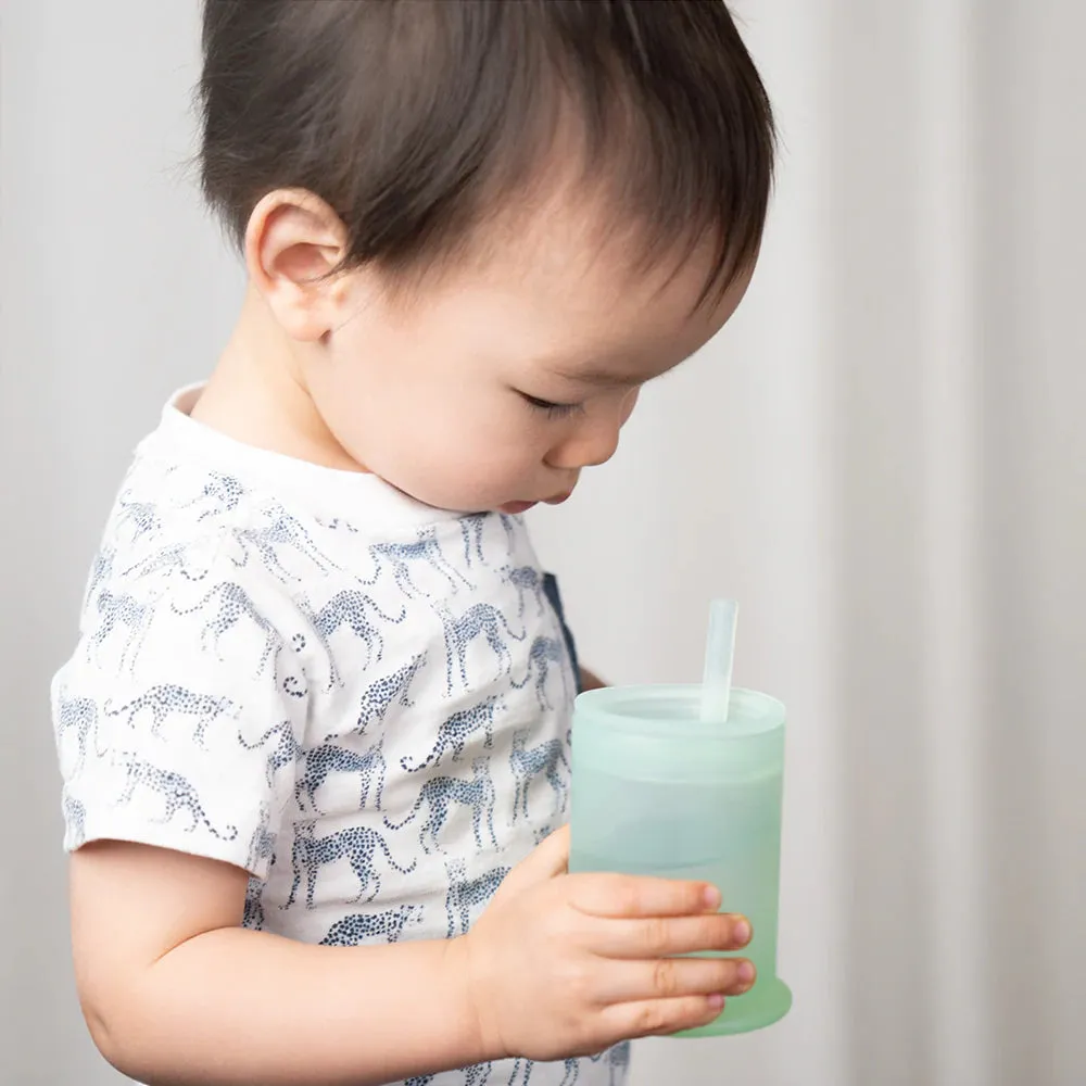 Ola Baby Training Cup with Lid   Straw - Coral