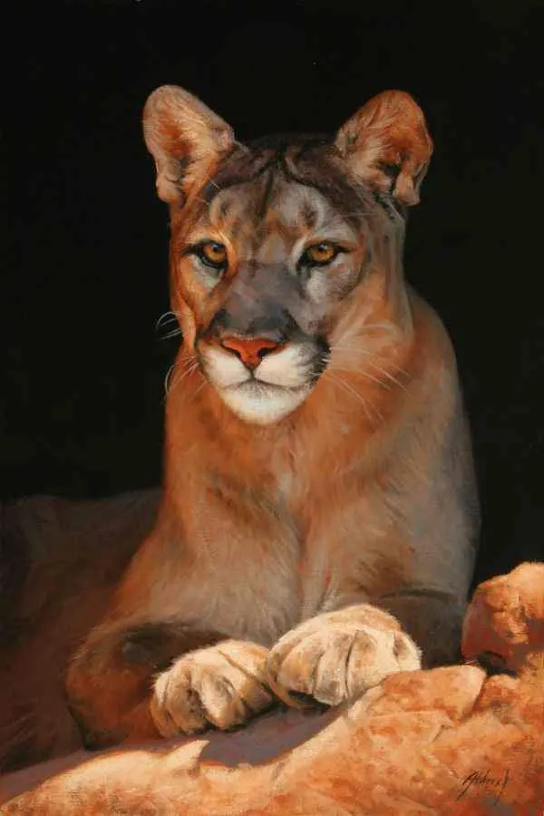 Quiet Confidence