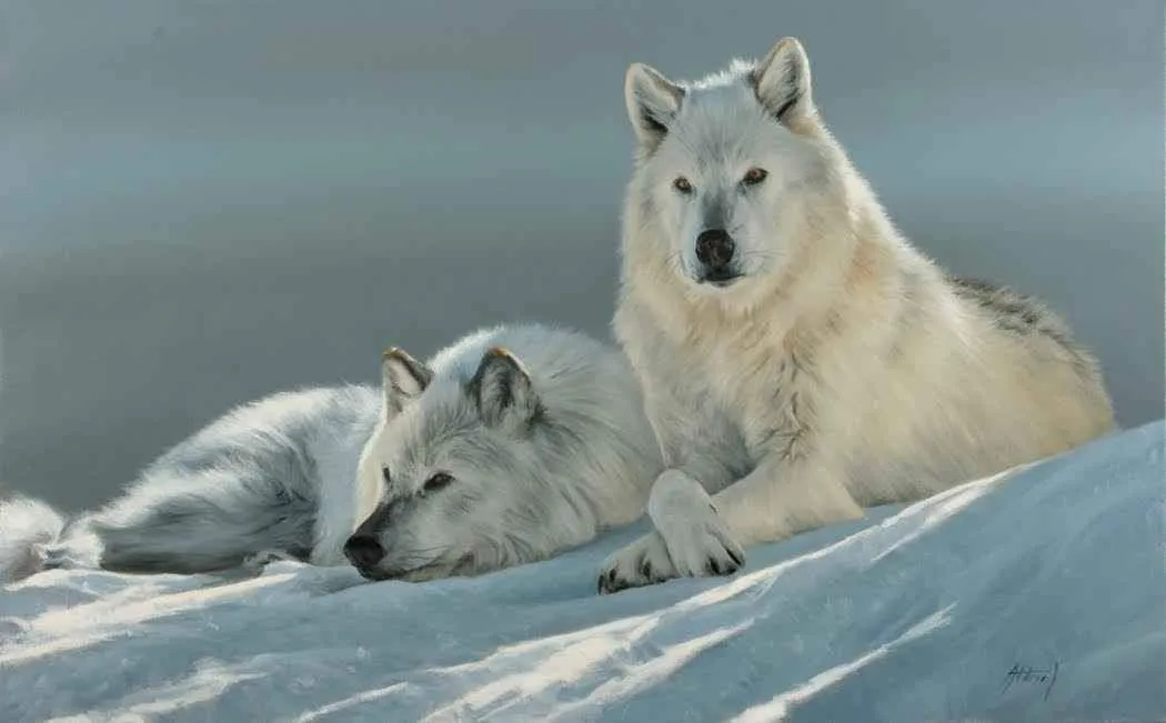 Quiet Moment