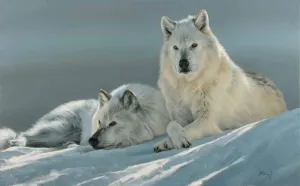 Quiet Moment