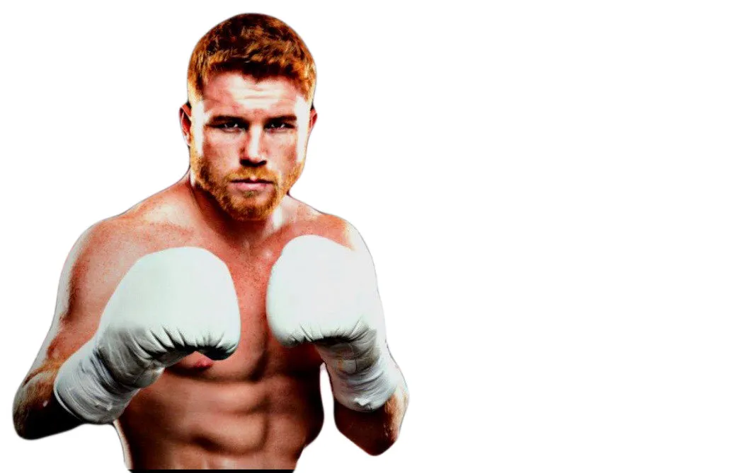 Saul Canelo Alvarez Silver signature Autographed Everlast Boxing Glove