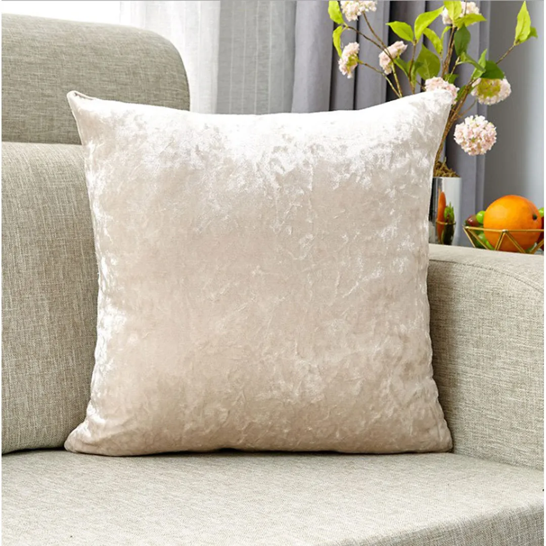 ZTC10 Square Velvet Pillow Cover (Set of 2) Beauty Acrylic Color: Cream